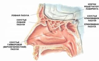 Риносинусит острый и хронический — причины возникновения, симптомы, диагностика и лечение Солевые растворы для носа