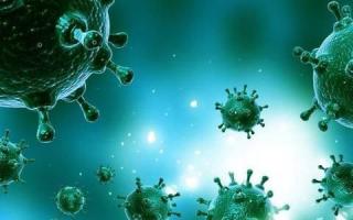 Вирусные заболевания - симптомы, диагностика и лечение Вирусы как причина инфекционных заболеваний